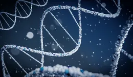 generics-unsplash-brano